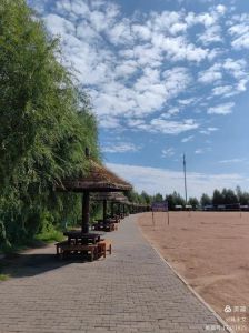 呼兰区第四届徒步大赛在河口生态湿地举行，1200余人参加，展现昂扬风貌，增进交流，凝聚团队