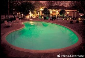 乌辛根湖,德国陶努斯唯一官方游泳湖,猫王曾游泳喝啤酒