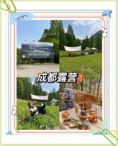 露营地第一个小动物必须邀请吗_邀请小动物共建家园