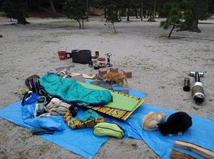 妻子被迫参加社区露营_安语辞职爱露营，婚姻亮红灯
