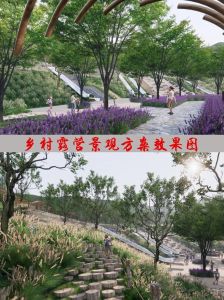 乡村露营基地项目计划书_投资5000万建千亩露营基地，生态环保助力乡村振兴