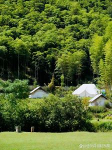 安吉县夏阳小杭坑露营基地简介_小杭坑露营成网红，生态宜居引游客
