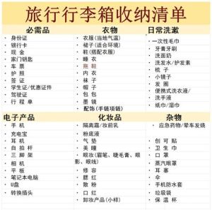 女生短期出差必备物品清单_充电器水杯隔音耳塞等实用好物推荐