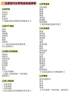 男士经常出差必备物品清单_清洁包剃须刀，提升形象；U型枕充电宝，舒适旅途；好行李箱，轻松出行