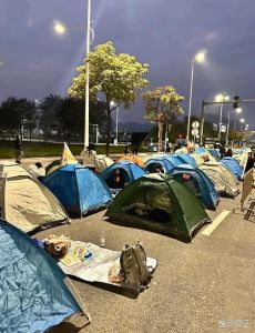 男子野外露营半夜来了个大家伙_王女士与张先生露营引热议，丈夫支持称只是普通朋友，引发对社交边界的思考