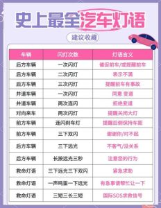 新能源车子晚上露营需要开窗吗_特斯拉露营模式，新能源车露营新体验