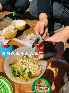 机智的野营生活第一季综艺_看嘉宾野营搭帐篷做美食，乐趣多多！