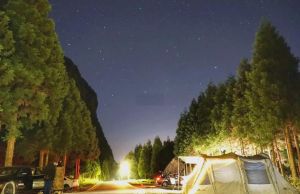 夏天夜晚在户外露营安全吗_避开山谷河沟，公园海边要注意！
