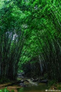 《不留痕迹》登山环保指南，五准则守护山林