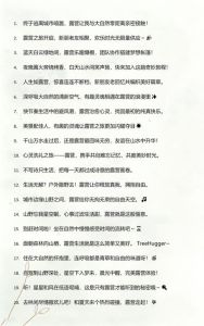露营休闲文案经典语句_山谷帐篷露营，山风泥土香，篝火野炊乐，治愈小确幸