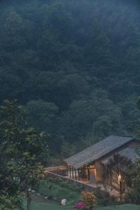 一个人深山隐居的生活_日本夫妇半世纪深山隐居，与自然共生，寻找幸福启示
