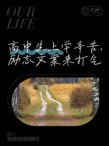 我心中的高中生活一句话_挑战与成长，逆袭的青春回忆