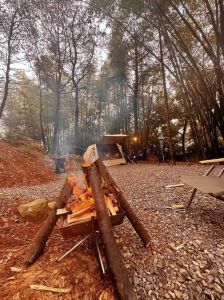 高峰森林公园星空露营_睿庭现房售，近南艳湖，高峰森林公园露营，交通便捷，多户型可选！