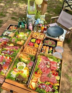 露营不想生火可以带什么吃的_露营电陶炉美食，简单美味又环保！