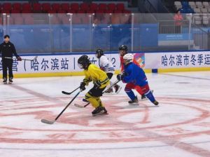 2026中国冰球协会青少年训练营在哈尔滨开营，培养U12冰球小将