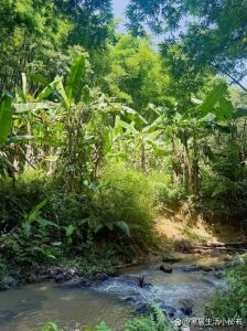 广州野溪谷露营地_粤溪谷漂流避暑火爆，亲水文旅待提质增效