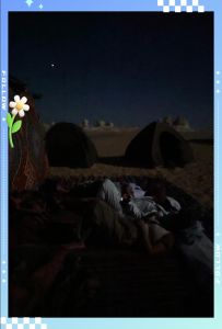 开罗露营_沙漠农场经营，四季种植动物互动，冰淇淋店创业