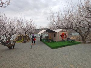 济南南部山区露营地方_南山自驾音乐市集亲子休闲好去处