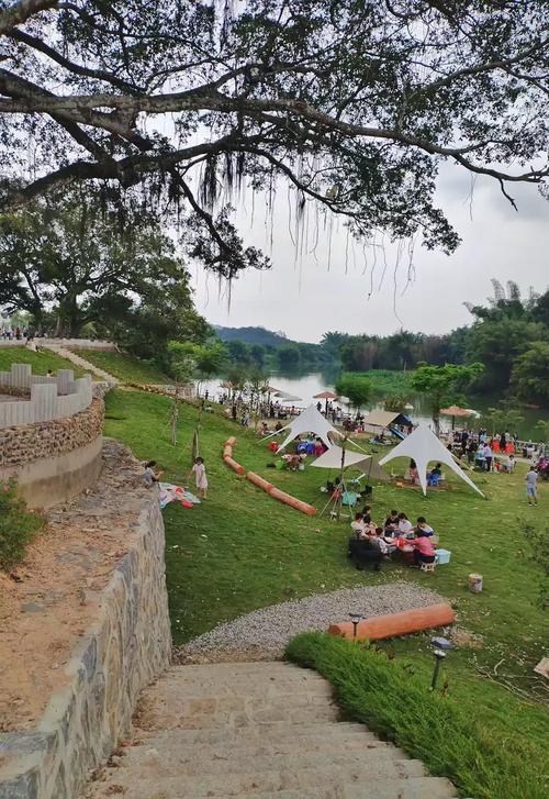 金厝围露营基地_山海结合,休闲放松好去处 金厝围露营基地_山海结合,休闲放松好去处