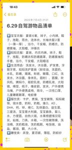 床车旅行必备装备一览表_平衡移动与休息，睡眠质量是关键