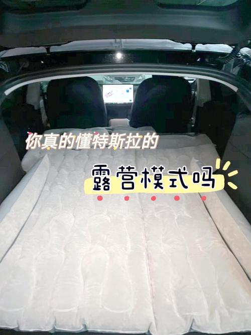 特斯拉空调保持爱犬露营模式_安抚宠物与移动小屋一应俱全