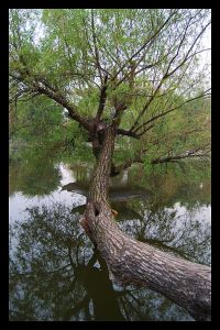 董小宛和驴友张家界露营_张家界百人荒野求生挑战火爆，抖音超48亿围观，奖金诱人，直播模式引热议