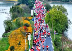 2026池州马拉松发布会，11月15日开跑，融合生态文化科技